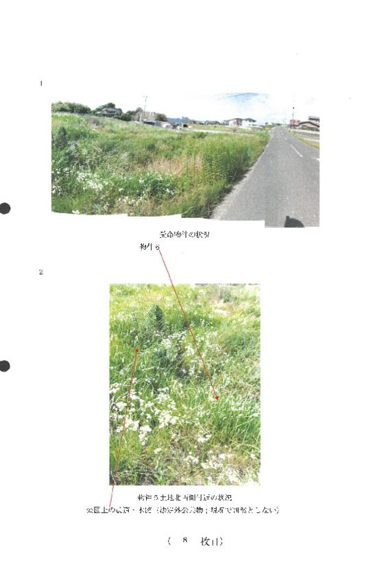 Farm Land for Purchase in Marugame, Kagawa - 246 sqm - Thumbnail 2