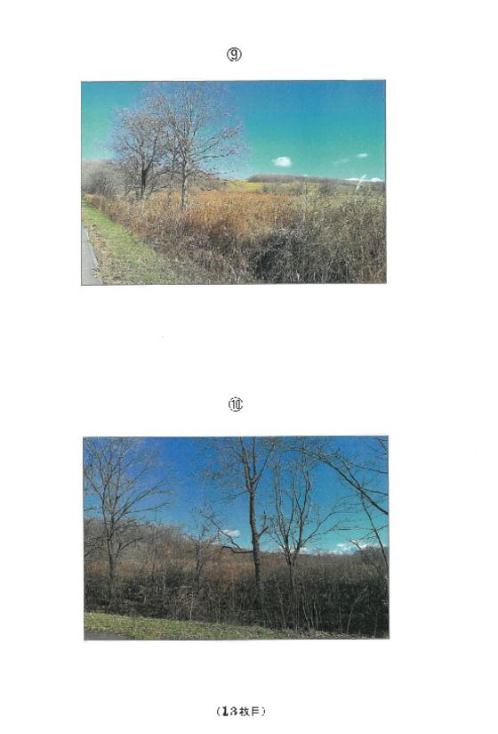 Farm Land Auction in Honbetsu, Hokkaido - 52,207 sqm - Thumbnail 3
