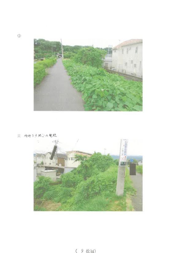Farmland for Auction in Minamiashigara, Kanagawa - 1,179 sqm - Thumbnail 2