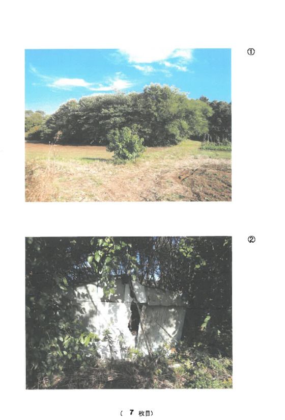 Farmland Auction in Ishioka, Ibaraki - 1,168 sqm - Thumbnail 2
