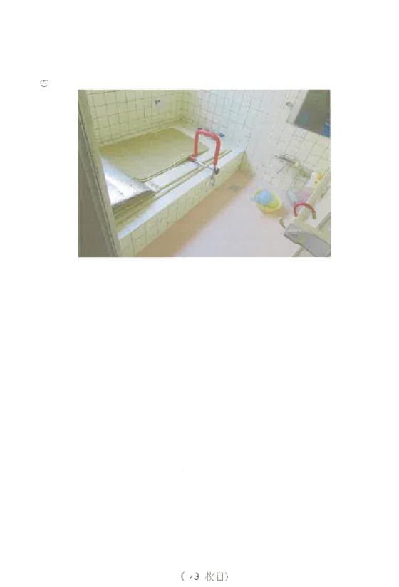 Land for Sale in MinamiAshigara, Kanagawa – 284 sqm - Thumbnail 3