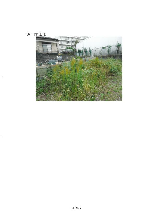 Farm Land for Auction in Ebina, Kanagawa - 383 sqm - Thumbnail 3