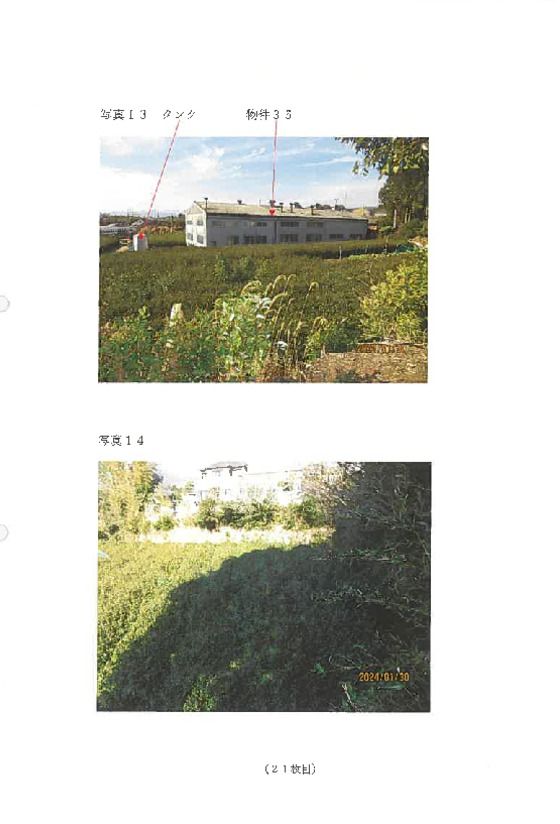 Farmland Auction in Numazu, Shizuoka - 3,910,000 Yen - Thumbnail 4