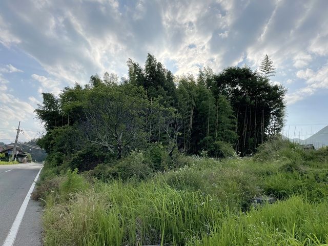 703 m² Agricultural Land for Sale in Omimura, Nagano - 3.8 Million Yen - Thumbnail 3