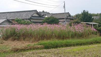Kagawa Housing Net Search Results List | Kagawa Migration Portal Site Kagawa Living — Image 4, Sanuki, Kagawa