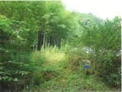Land Plot for Auction in Fujieda, Shizuoka - 330 sqm - Main Image