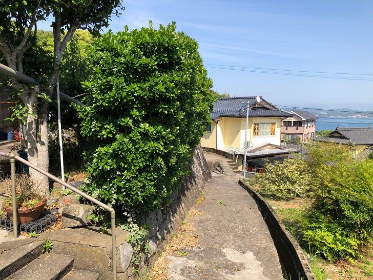 Traditional 5DK House with Farmland in Kamiamakusa, Kumamoto - Thumbnail 2