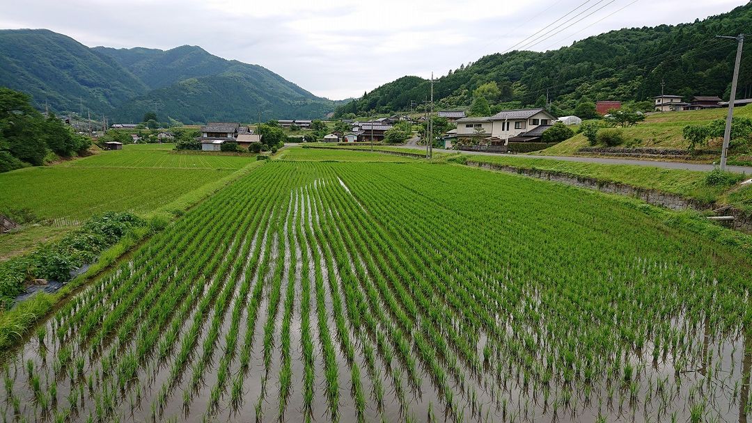 Antique Folk House for Renovation Near Anshiri Station, Kyoto - Thumbnail 4