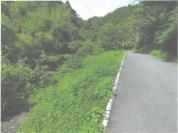 Land Auction in Hitachiomiya, Ibaraki - 321 sqm Plot - Main Image