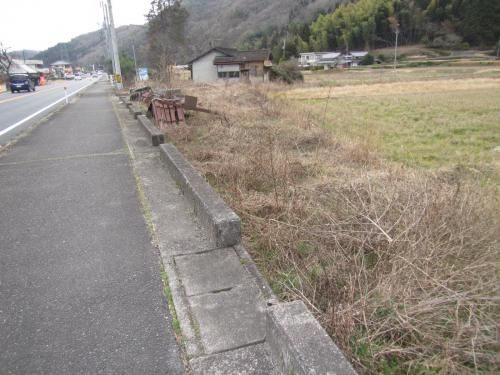 299 sqm Land for Sale Along National Route in Kumenan-cho - Thumbnail 2