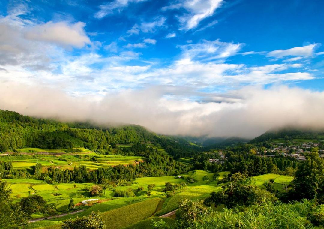 Forestry & Living Opportunity in Motoyama Town, Kochi - Thumbnail 2