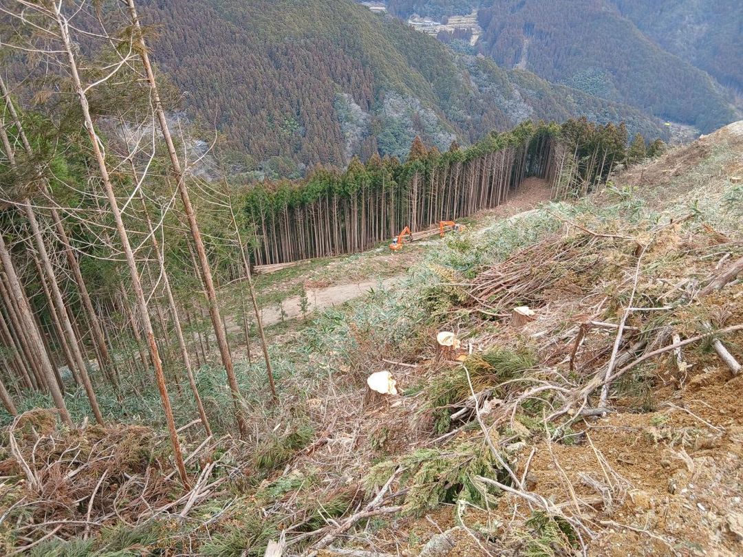 Forestry & Living Opportunity in Motoyama Town, Kochi - Thumbnail 4