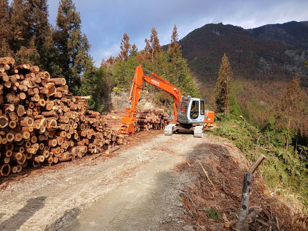Forestry & Living Opportunity in Motoyama Town, Kochi - Thumbnail 3