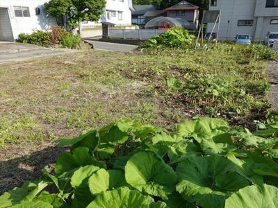 Charming Property in Kazuno City, Akita Prefecture — Image 4, Kazuno, Akita