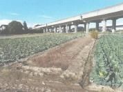 Foreclosure House in Itako, Ibaraki - 20,000 Yen Opening Bid - Main Image