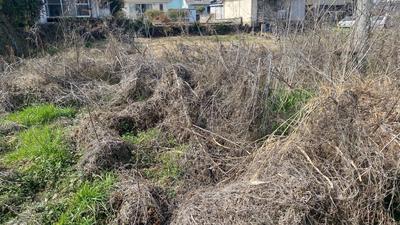 Taki River 81 Land for Sale — Land, Mifune, Kumamoto