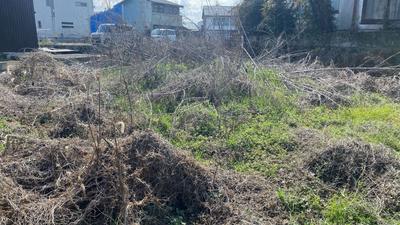 Taki River 81 Land for Sale — Land, Mifune, Kumamoto