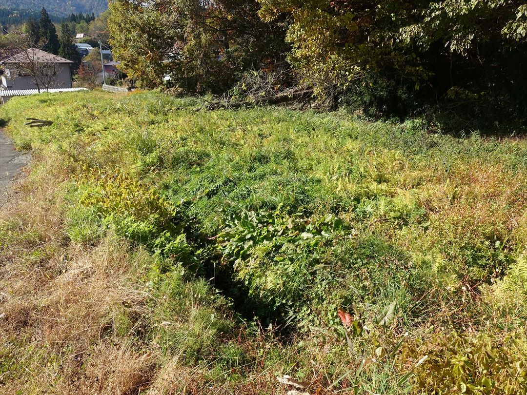 Land for Sale in Kazuno City, Akita - 445.3 sqm Plot - Thumbnail 3