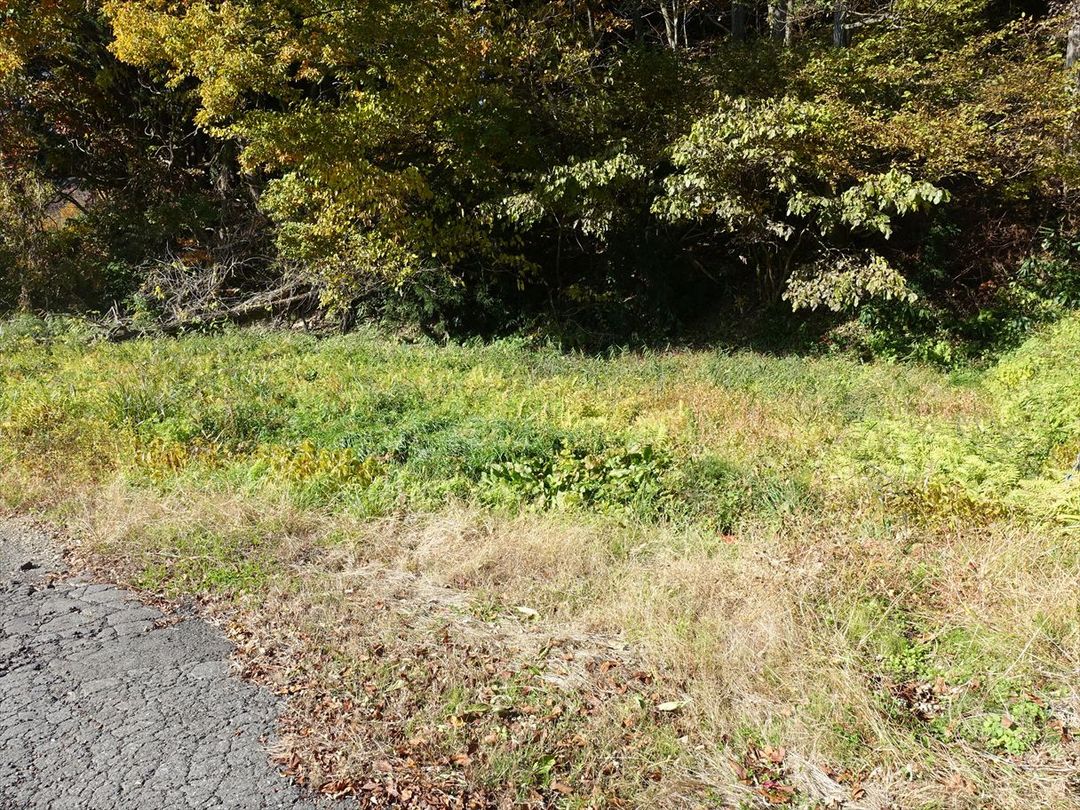 Land for Sale in Kazuno City, Akita - 445.3 sqm Plot - Thumbnail 4