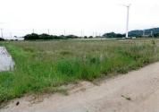Agricultural Land Auction in Tahara, Aichi - 980m² Paddy - Main Image