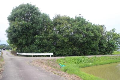 Traditional Japanese House Surrounded by Rice Fields — Land, Kikuyo, Kumamoto