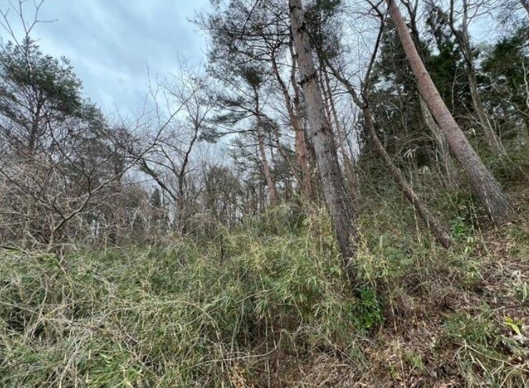 Land for Sale in Koriyama, Fukushima - 2158 sqm Storage Yard Site - Thumbnail 4