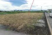 Foreclosure Auction: 194 sqm Farmland in Kai City, Yamanashi - Main Image