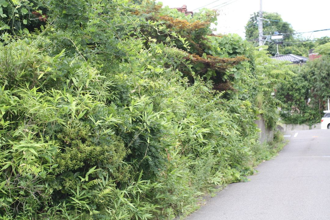 95 Tsubo Corner Land for Sale in Koriyama's Abukumadai - Thumbnail 2