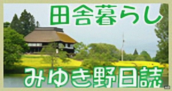 Renovated Kominka with Land in Iiyama, Nagano for Sale - Thumbnail 2