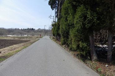 896 Tsubo Forest Land for Sale Near Kurohime Ski Resort, Nagano - Thumbnail 4