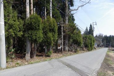 896 Tsubo Forest Land for Sale Near Kurohime Ski Resort, Nagano - Thumbnail 3