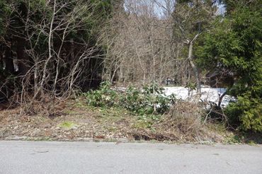 2,962 sqm Forest Land for Sale in Shinano Town, Nagano - Thumbnail 4