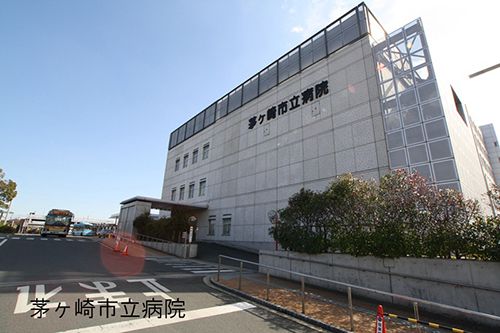 Land for Sale in Chigasaki City, Kanagawa - 142.4 sqm - Thumbnail 4