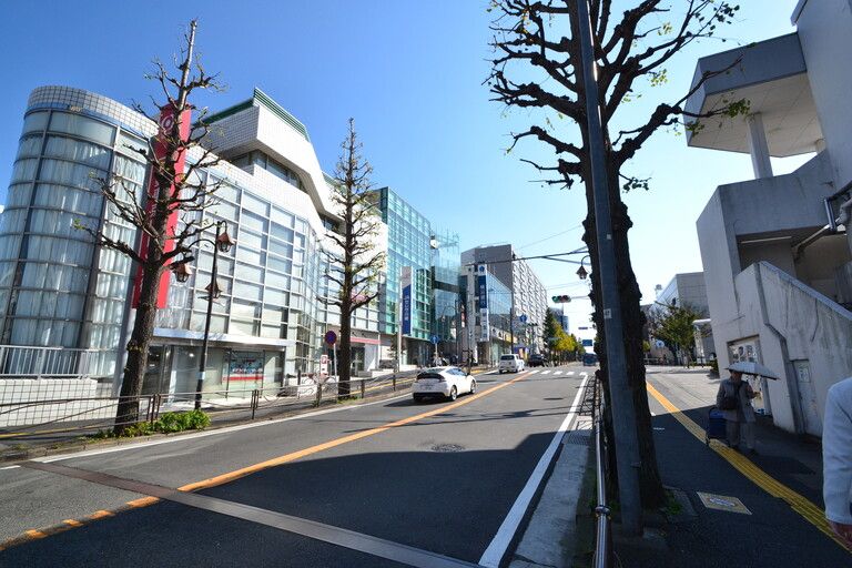 4LDK Detached House for Sale near Sagimaru Station, Kawasaki - Thumbnail 3