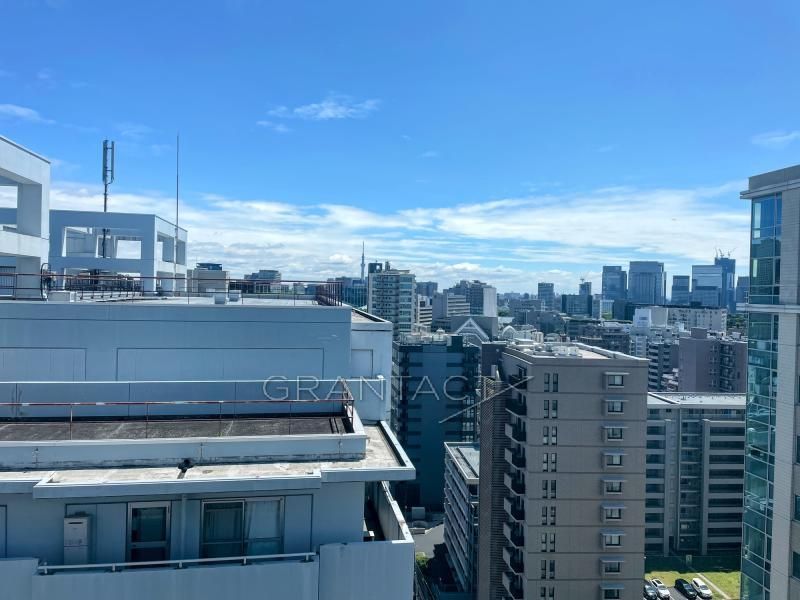 Prestige Nine Dan 3LDK Apartment for Sale in Chiyoda, Tokyo - Thumbnail 3