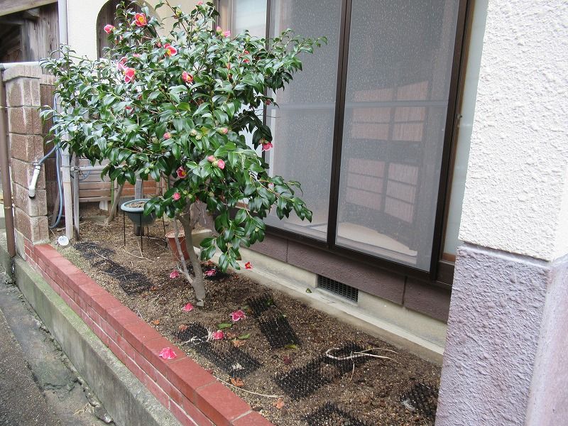9DK House for Sale in Masuda, Shimane with Sea Views - Thumbnail 4