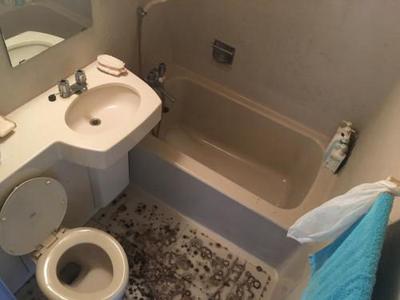 043 Nishi-Akaya, Wakimachi, Mima-shi — Image 4, Mima, Tokushima