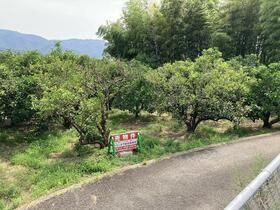 Land for sale in Kimino, Wakayama - 862.32 sqm — Land, Kimino, Wakayama