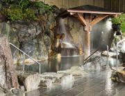 Staits Keirakusai 4LDK Apartment in Kyoto's Nishikyo Ward — Image 1, Nishikyo, Kyoto