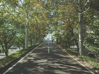 Detailed information on the new apartment building in Blancheira Higashi Sapporo Sanryan (Shiroishi-ku, Sapporo, Hokkaido, property number: 2c64cfc92c503cf9a49e43d18641fb3a) [Nifty Real Estate] — Image 3, Shiroishi, Hokkaido