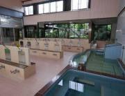 Solfeesta Machiya: Modern Apartments in Arakawa, Tokyo — Image 3, Arakawa, Tokyo