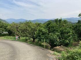 Land for Sale in Kimino, Wakayama — Land, Kimino, Wakayama