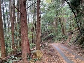 Land for sale in Kawazu, Shizuoka - 811m² near station - Thumbnail 4