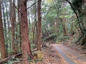 Land for sale in Kawazu, Shizuoka - 811m² near station — Image 3, Kawazu, Shizuoka