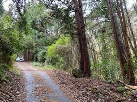 Land for sale in Kawazu, Shizuoka - 811m² near station - Thumbnail 3