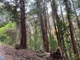 Land for sale in Kawazu, Shizuoka - 811m² near station — Image 1, Kawazu, Shizuoka