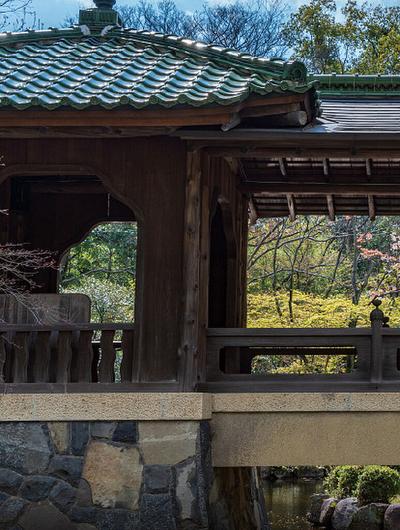 The Lions Kakuozan: New Luxury Condos in Nagoya's Chikusa Ward — Image 5, Chikusa, Aichi