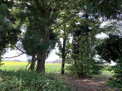 Tomb Tree: Details of used house/used detached house for 3.5 million yen (Nyuzen Town, Shimoniikawa District, Toyama Prefecture, property number: c6bbb59be4fd38cd9ec5f257a7db3125) [Nifty Real Estate] — Image 3, Nyuzen, Toyama