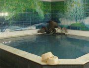 Modern Riviere Otozu Tower Apartments in Kitakyushu — Image 1, Kokura Kita, Fukuoka