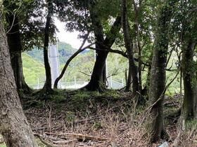 Land for Sale in Kawazu, Shizuoka - Thumbnail 2